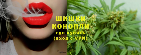 крисы Абаза