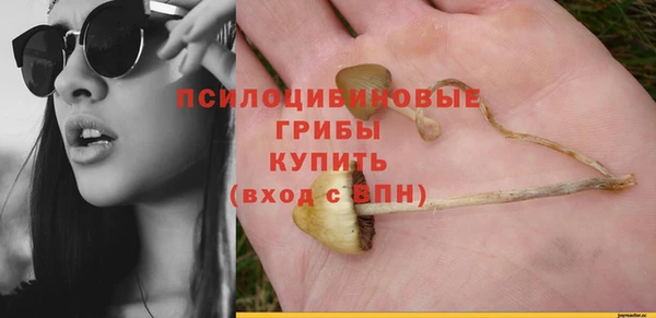 крисы Абаза